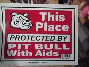 11-05-28_001-1-e1311605905622