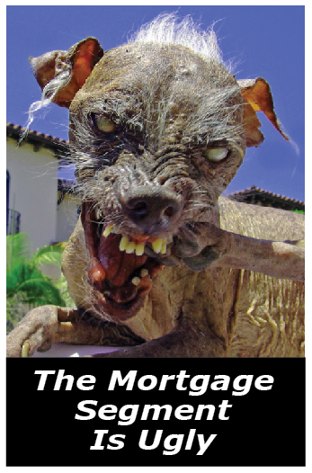 InDesignScreenSnapz026