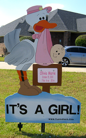 Stork