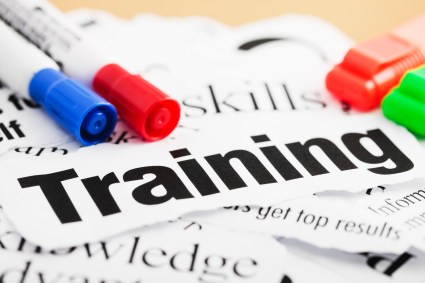 Training Image_Medium