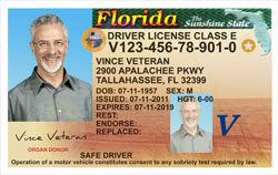 license_vince-veteran_NEW